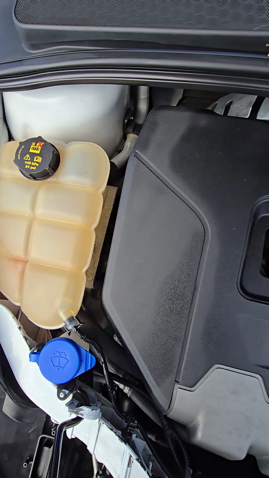 Engine bay of 2018 Ford Focus ST Hatchback 4D