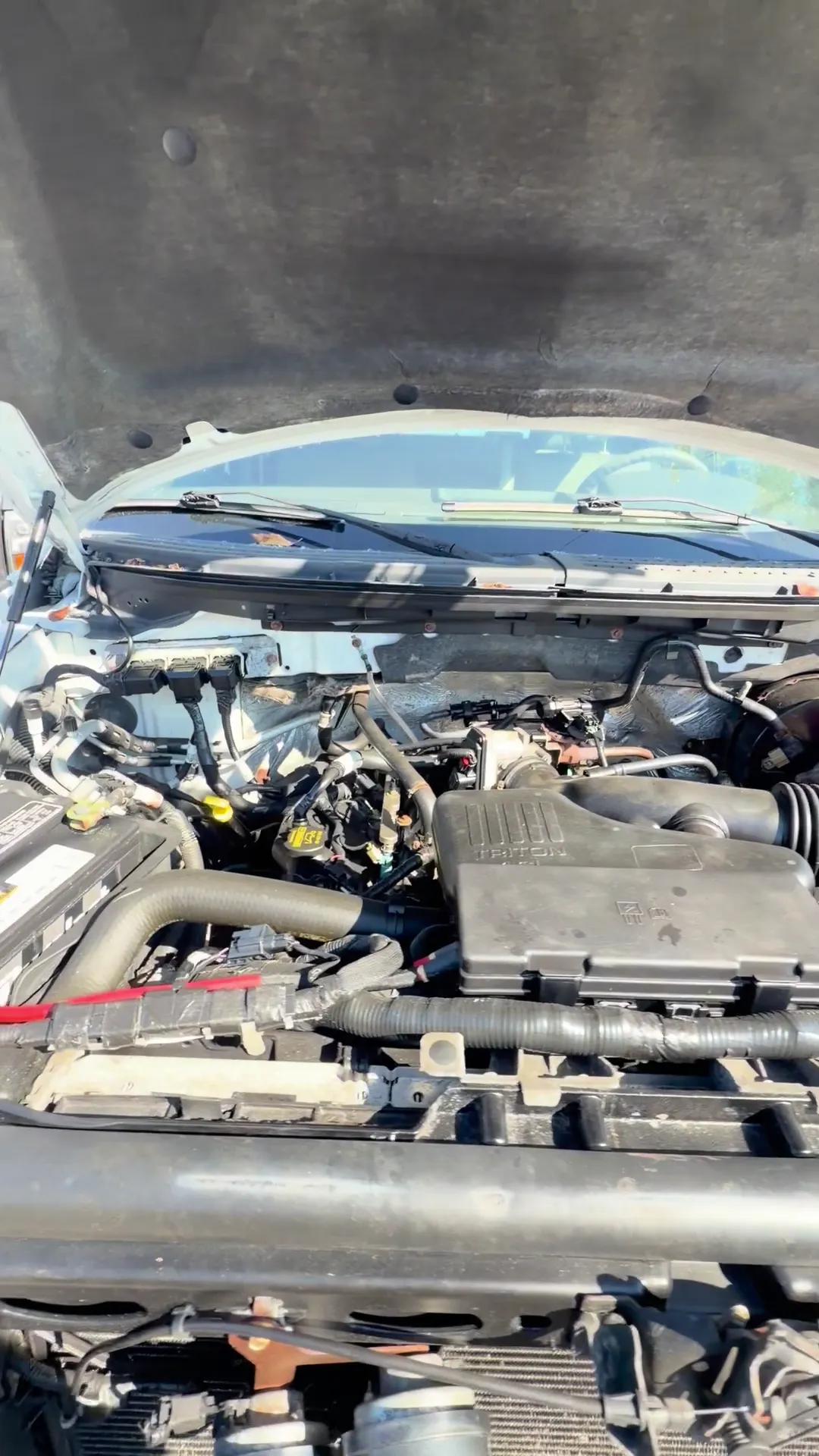 Engine bay of 2010 Ford F150 Super Cab XL Pickup 4D 6 1/2 ft