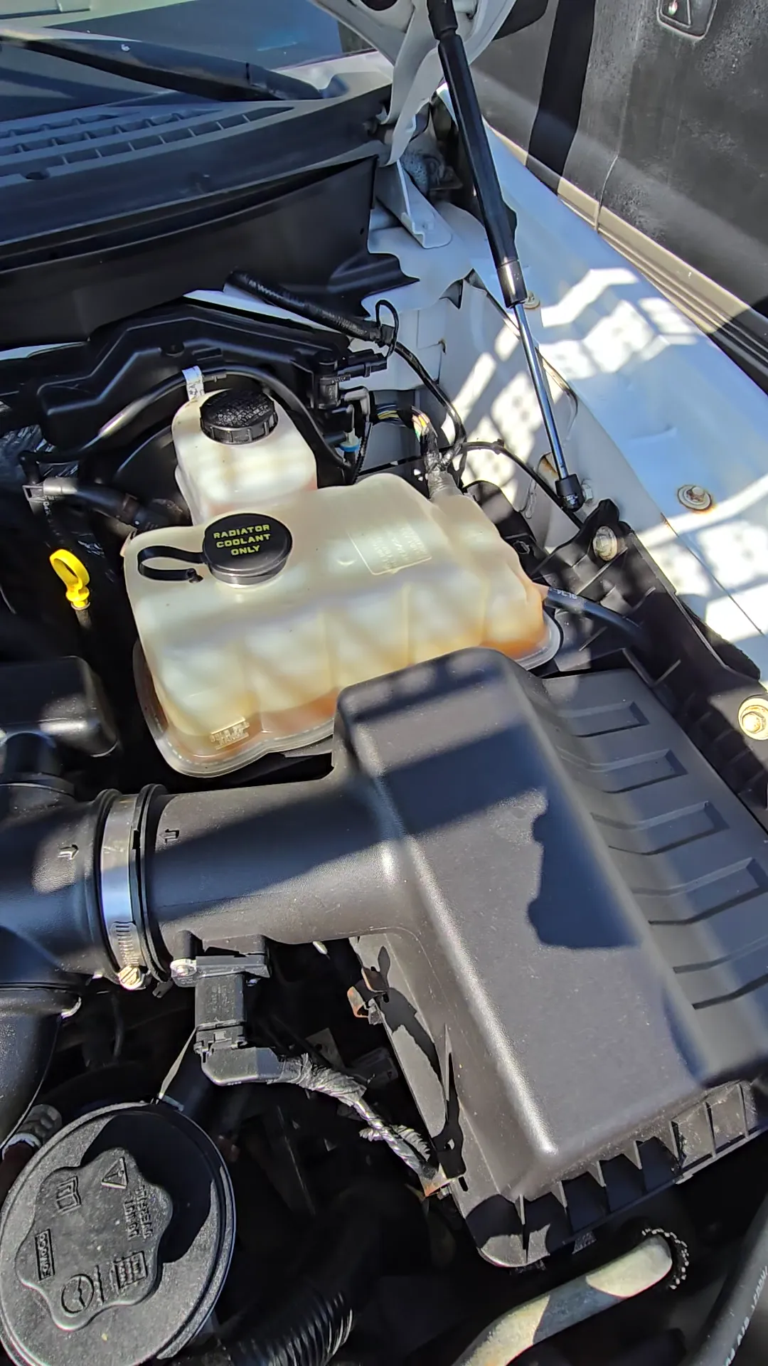 Engine bay of 2010 Ford F150 SuperCrew Cab Platinum Pickup 4D 5 1/2 ft